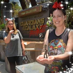 Meet your Posher, Jayne